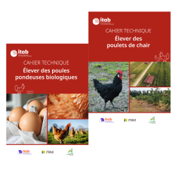 Lot des 2 cahiers...